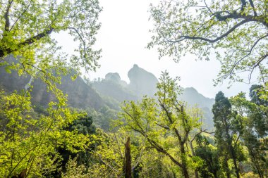 mavi gökyüzünün altında dağlar