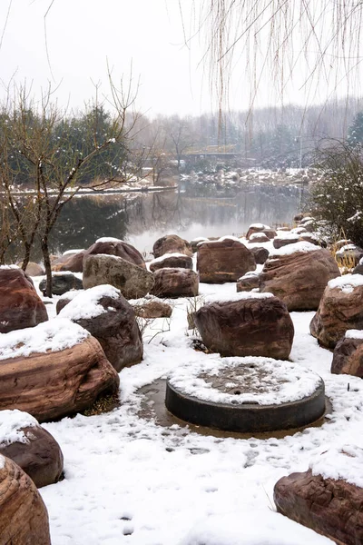 Jardim Botânico Inverno Zhengzhou China — Fotografia de Stock