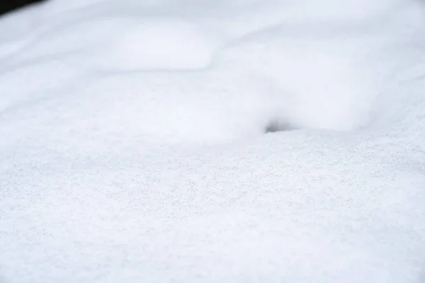 Schnee Einem Kalten Wintertag — Stockfoto