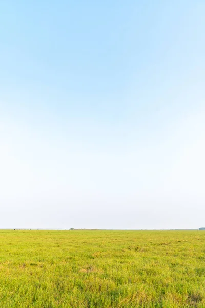 Prados Verdes Bajo Cielo — Foto de Stock