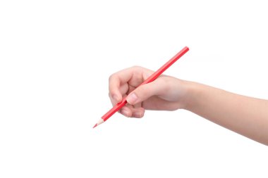 Hand holding pencil against white background