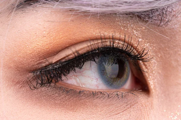 The pupil of an eye with colored contacts