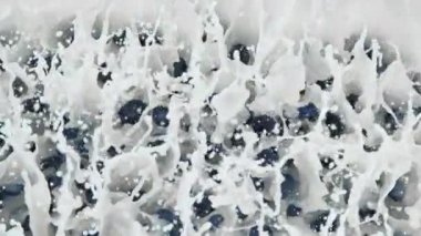 Süper Yavaş Çekim Taze Yaban mersininin Krema 'ya düşüşü. 4K 'da Yüksek Hız Sinema Kamerası ile çekildi..