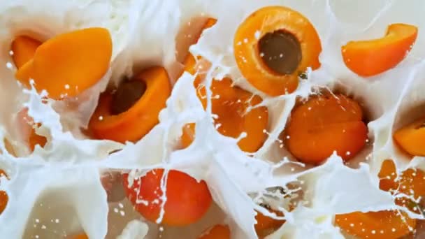 Super Slow Motion Shot Fresh Apricots Falling Milk 1000Fps Filmado — Vídeos de Stock