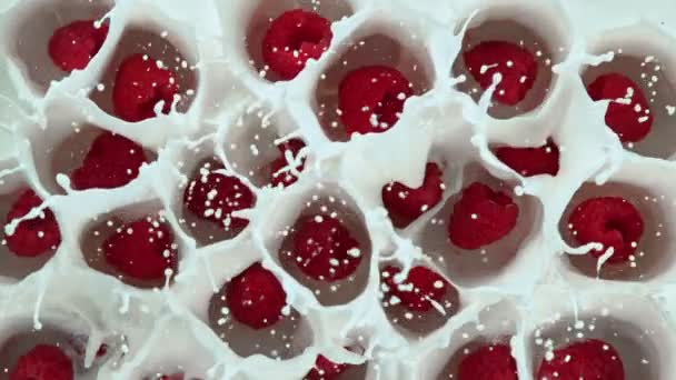 Super Slow Motion Shot Framboises Fraîches Tombant Dans Crème 1000Fps — Video