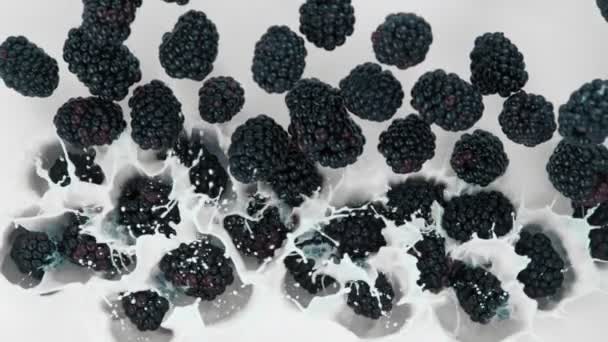 超级慢动作的新鲜黑莓以1000Fps的速度掉进牛奶里 以4K高速电影摄影机拍摄 — 图库视频影像