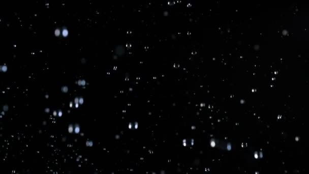 Super Slow Motion Shot Real Rain Drops มลงโดดเด ยวบนพ นหล — วีดีโอสต็อก