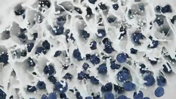 新鲜蓝莓以1000Fps的速度掉进奶油中的超级慢动作镜头 以4K高速电影摄影机拍摄 — 图库视频影像