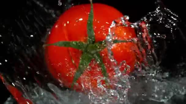 Super Slow Motion Shot Rotating Whole Tomato Splashing Water Isolated — Stock Video