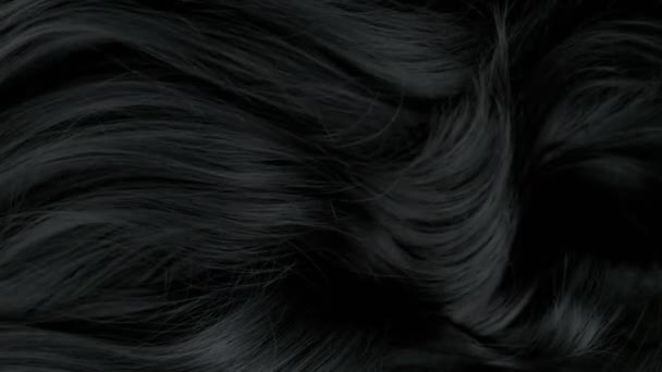 Super Slow Motion Shot Waving Black Hair 1000 Fps Съемки — стоковое видео