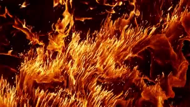 Super Slow Motion Shot Burning Sparkling Abstract Background Στα 1000 — Αρχείο Βίντεο
