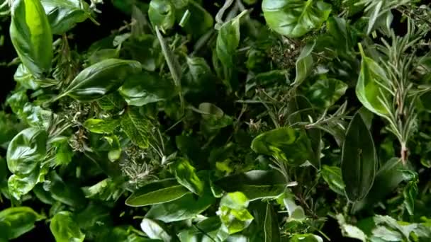 Super Slow Motion Shot Van Flying Sasty Green Herbs Geïsoleerd — Stockvideo