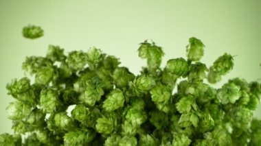 Yeşil Arkaplanda Flying Fresh Hops 'un 1000 fps' lik Süper Yavaş Çekimi. 4K 'da Yüksek Hız Sinema Kamerası ile çekildi..