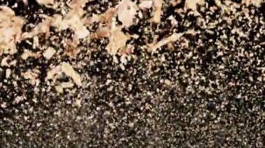 1000 fps hızla Kahverengi Makyaj Tozu Patlaması Süper Yavaş Çekimi. 4K 'da Yüksek Hız Sinema Kamerası ile çekildi.