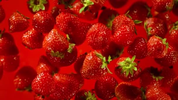 红色背景下新鲜草莓的超级慢镜头以1000Fps的速度飞向相机 以4K高速电影摄影机拍摄 — 图库视频影像