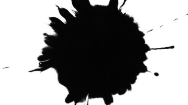 Siyah mürekkep düşüşünün Süper Yavaş Çekimi Beyaz Arkaplanda 1000 fps 'de izole edildi. 4K Çözünürlükte Yüksek Hız Sinema Kamerası ile Çekim.