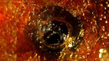 Altın Alkol Sıvısı Şişe Döndürme Süper Yavaş Çekimi, 300 fps 'te. 4K 'da Yüksek Hız Sinema Kamerası ile çekildi..