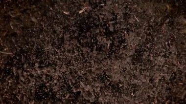 Kameraya doğru 1000fps hızla patlayan toprağın Süper Yavaş Çekimi. Yüksek hızlı sinema kamerasıyla çekildi, 4K.