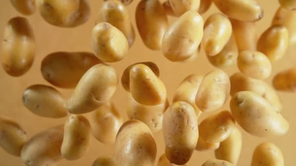 Bej Arka Planda Kameraya Doğru Uçan Taze Patateslerin Süper Yavaş — Stok video