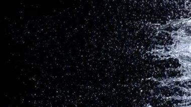 Su kenarından çekilen Süper Yavaş Çekim Kara Arkaplan 'da izole edildi. 4K 'da yüksek hızlı sinema kamerası ile çekildi...