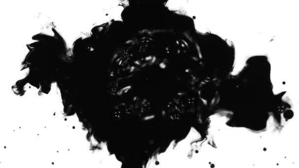 Super Slow Motion Shot Black Ink Drop Isolado Fundo Branco — Vídeo de Stock