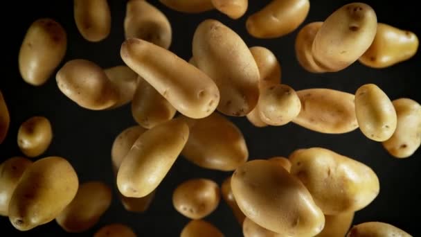 Super Slow Motion Shot Fresh Potatoes Flying Camera Black Background — Stok Video