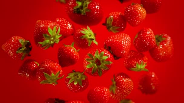 红色背景下新鲜草莓的超级慢镜头以1000Fps的速度飞向相机 以4K高速电影摄影机拍摄 — 图库视频影像
