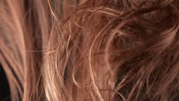 Super Slow Motion Shot Waving Disheveled Brown Hair Bij 1000 — Stockvideo