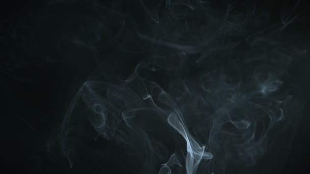 Super Slow Motion Shot Rising Smoke Arrière Plan Isolé Sur — Video