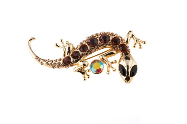 Brooch salamander — Stock Photo, Image