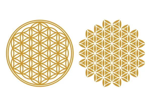 Flower of life - sacred geometry — Stock Vector