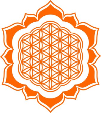 çiçek uyum ve hayat - lotus çiçeği - şifa sembolü