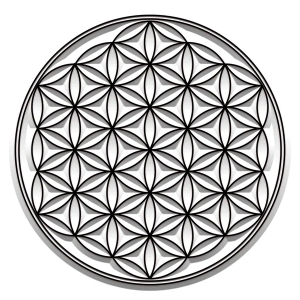 Blume des Lebens - heilige Geometrie - Symbol für Harmonie und Gleichgewicht — Stockfoto