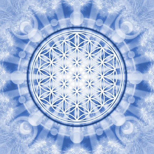 Flower of life - sacred geometry - symbol harmony and balance — Stock Photo, Image