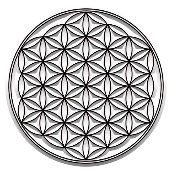 Цветок жизни - сакральная геометрия - символ гармонии и равновесия — стоковое фото