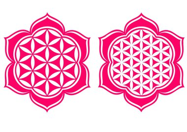 çiçek uyum ve hayat - lotus çiçeği - şifa sembolü