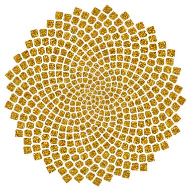 ayçiçeği tohumu - altın oran - altın spiral - fibonacci sarmal,