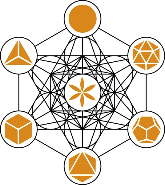 Metatrons kubus - platonische lichamen — Stockvector