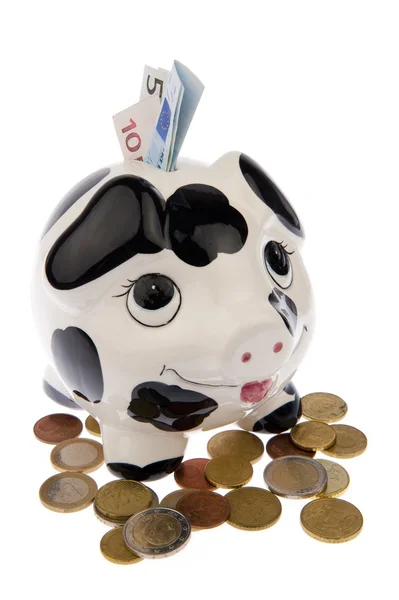 Cerdo en monedas con billetes —  Fotos de Stock