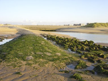 Moss-clad dam and sluice at beach