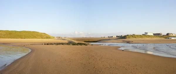 Het estuarium van de rivier Rijn in Noordzee — Stockfoto