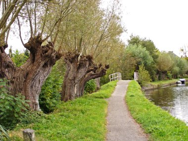 yol, köprü ve pollard willows