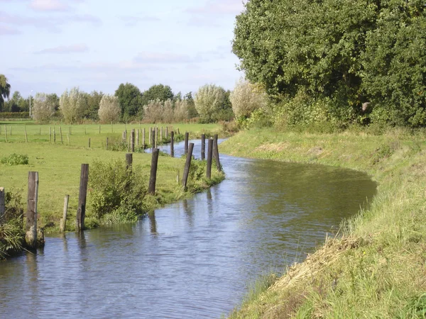 Stream kanalisering genom gröna landsbygden — Stockfoto