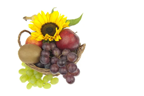 Fruitmand sierlijke met zonnebloem — Stockfoto