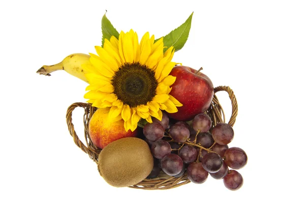 Decor of fruit basket with sunflower — Stock Photo, Image