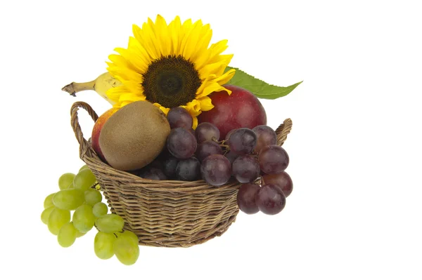 Basket assorted fruit and sunflower — Stock Photo, Image