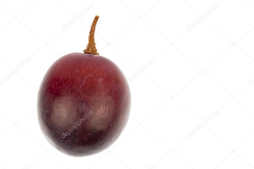 Single blue grape isolated in white Stock Photo by ©YellowPaul 30608223