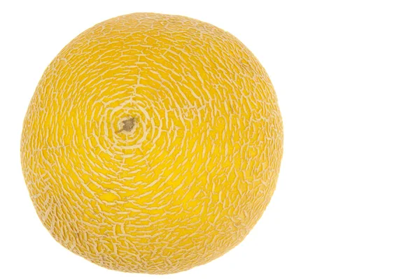 Concentric shaped yellow melon rind — Stock Photo, Image