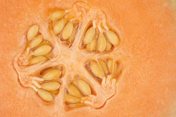 Oranje meloen kernel in close-up — Stockfoto