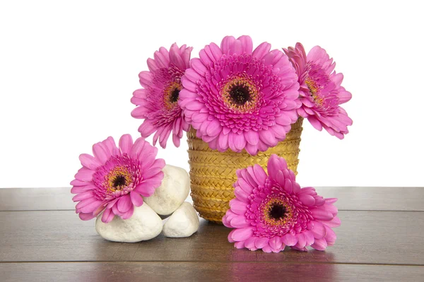 Gerberas rosadas en canasta amarilla y piedras blancas —  Fotos de Stock